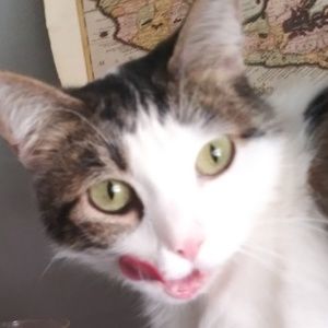 Meet your Posher, Jessie